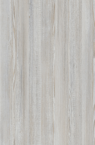 Сосна Астана