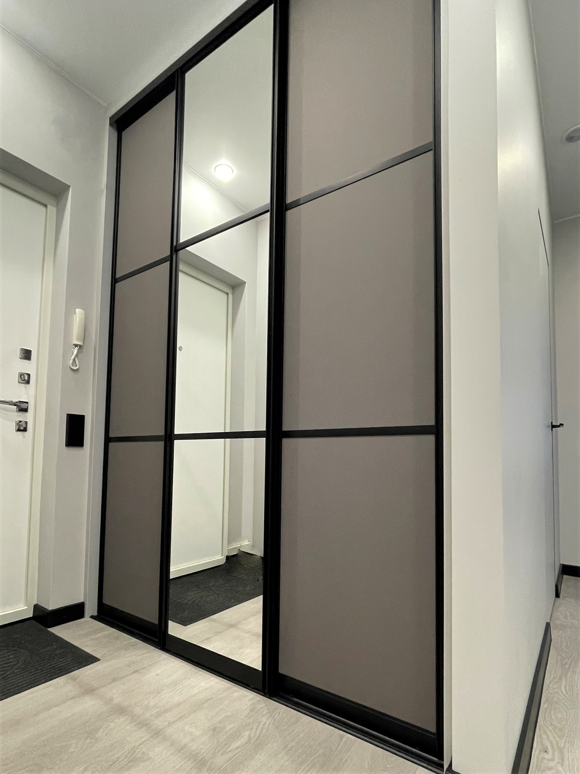 шкаф-купе с зеркалом прихожая 