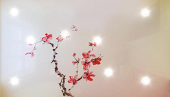 Фотопечать "Сакура"