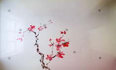 Фотопечать "Сакура"