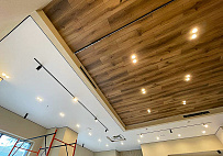 Потолок с трековой системой